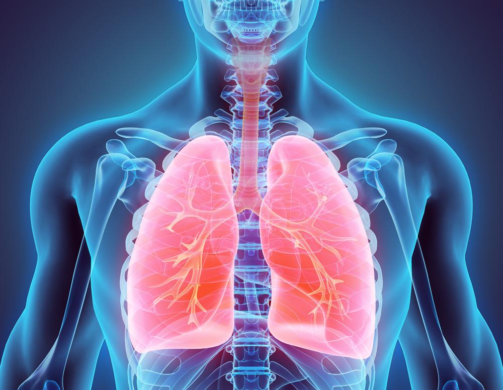 Программа профилактики заболеваний органов дыхания